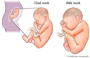 Week 38 of Your Pregnancy